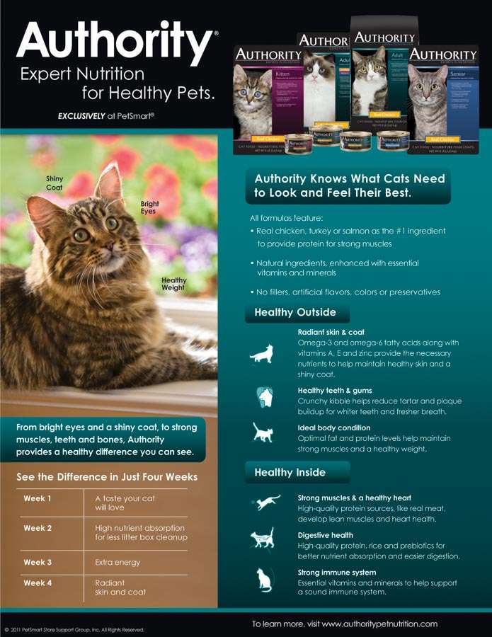 Authority Cat Foot Sheet