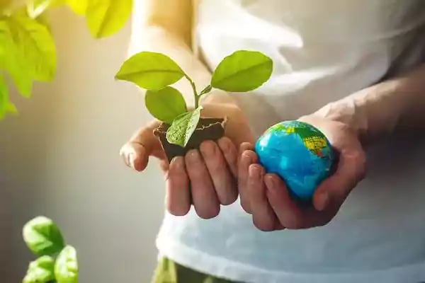 Hand holding a globe.