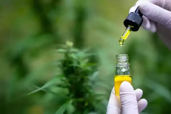 CBD oil in a clear bottle.
